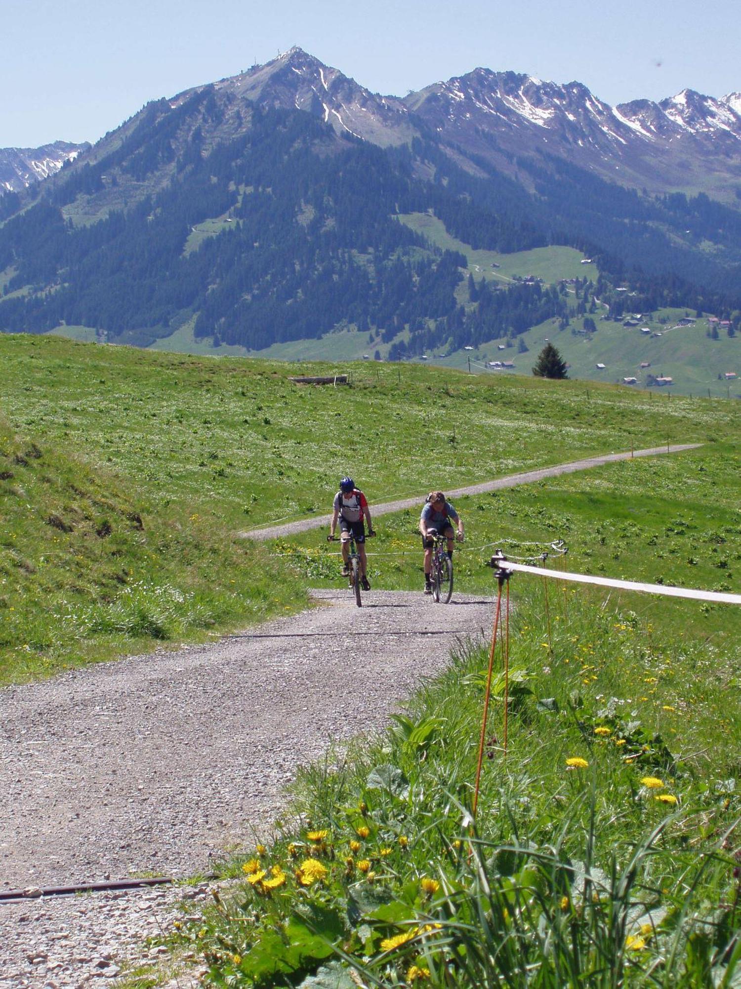 Gastehaus Zur Farbe Oberstdorf